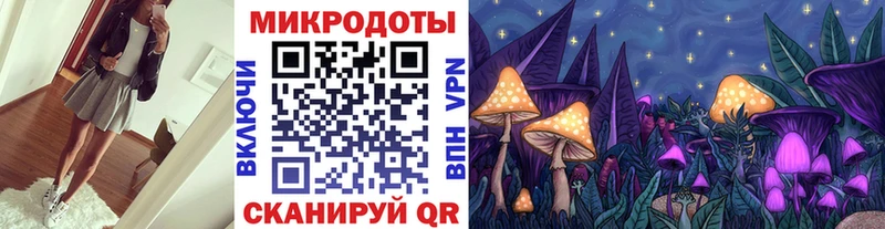 Галлюциногенные грибы Psilocybine cubensis  Нелидово 